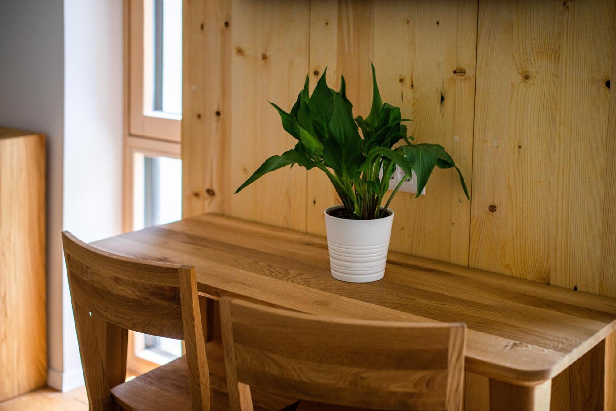 Lucka Bled Quiet Location, Free Bikes, Big Garden, Doctor Apartment Ngoại thất bức ảnh